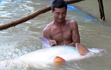 BÀI 6 : BÚN NỀN ĐỂ PHA TINH MÙI